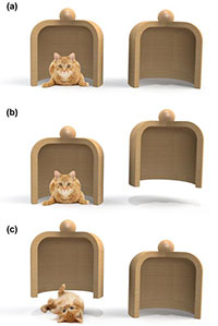Images showing the cat-in-a-container null measurement protocol