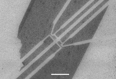 Scanning electron microscope image showing the main components of the graphene-based device used to split Cooper pairs